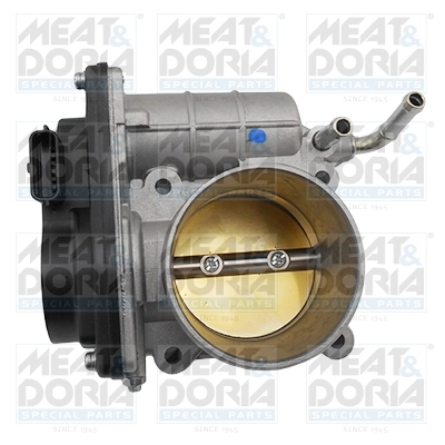 Throttle Body
